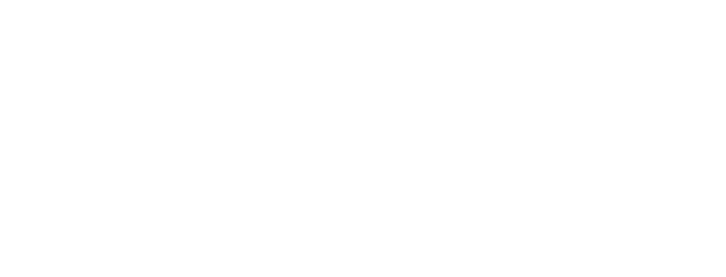 Vishnevsky Design